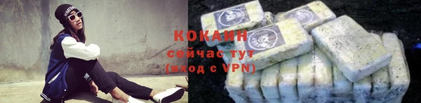 дурь Ельня