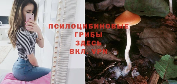 мяу мяу мука Алзамай