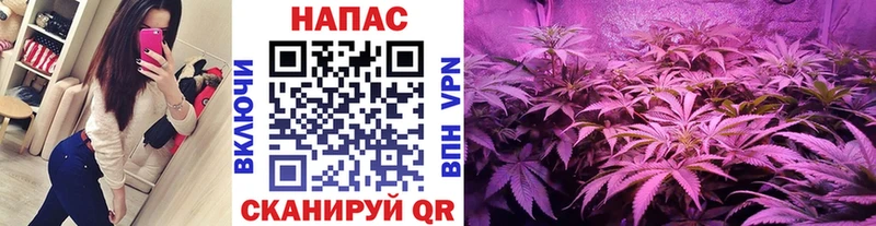 МАРИХУАНА Bruce Banner  Чухлома 